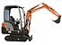 cat234