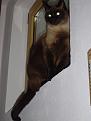 Click image for larger version

Name:	DSC03728.JPG
Views:	240
Size:	69,8 KB
ID:	1058651