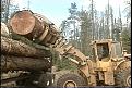 Click image for larger version

Name:	AFPInc-Loader.jpg
Views:	1336
Size:	121,0 KB
ID:	1059116