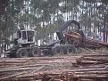 Click image for larger version

Name:	TS%20820%20Skidder.jpg
Views:	1247
Size:	74,1 KB
ID:	1059129