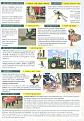 Click image for larger version

Name:	depliant lotti_3_0001bis.JPG
Views:	1067
Size:	109,7 KB
ID:	1063239