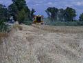 Click image for larger version

Name:	nh 3560al trebbia grano!.jpg
Views:	3407
Size:	68,5 KB
ID:	1065108