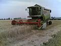 Click image for larger version

Name:	lexion 4.jpg
Views:	3255
Size:	132,4 KB
ID:	1065451