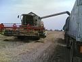 Click image for larger version

Name:	lexion scarico.jpg
Views:	3374
Size:	117,9 KB
ID:	1065452