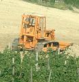 Click image for larger version

Name:	AD14-B-Neive-Valle-Doglio-2.jpg
Views:	762
Size:	34,8 KB
ID:	1066709