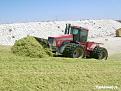 Click image for larger version

Name:	Corn 2007 074_1.jpg
Views:	781
Size:	51,2 KB
ID:	1070147