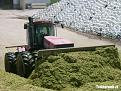 Click image for larger version

Name:	Corn 2007 068_1.jpg
Views:	760
Size:	59,9 KB
ID:	1070148