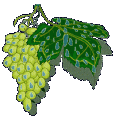 Click image for larger version

Name:	uva_tradizionale.gif
Views:	662
Size:	9,8 KB
ID:	1070873