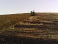 Click image for larger version

Name:	claas scende arando.jpg
Views:	1520
Size:	101,7 KB
ID:	1072650