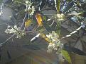 Click image for larger version

Name:	DSCN0017.jpg
Views:	756
Size:	196,7 KB
ID:	1078743