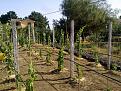 Click image for larger version

Name:	120720112497.jpg
Views:	2697
Size:	85,1 KB
ID:	1079055