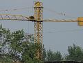 Click image for larger version

Name:	IMG_0222.JPG
Views:	670
Size:	60,5 KB
ID:	1079284