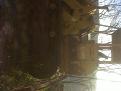 Click image for larger version

Name:	IMG00129-20120303-1534.jpg
Views:	1101
Size:	287,6 KB
ID:	1080835
