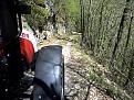 Click image for larger version

Name:	steyr 4095 legna3.jpg
Views:	1530
Size:	388,3 KB
ID:	1081111