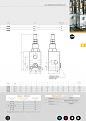 Click image for larger version

Name:	VALVOLE DI PRESS MAX-5.jpg
Views:	1174
Size:	168,6 KB
ID:	1081994