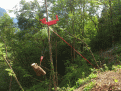 Click image for larger version

Name:	Pescante (5).gif
Views:	6001
Size:	421,7 KB
ID:	1084916