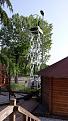 Click image for larger version

Name:	20150508_090517.jpg
Views:	567
Size:	443,7 KB
ID:	1085457
