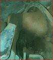 Click image for larger version

Name:	Soll SX 2.JPG
Views:	2856
Size:	56,9 KB
ID:	1085582