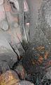 Click image for larger version

Name:	MMT7 Pistone destro attacco alla base.jpg
Views:	2234
Size:	100,7 KB
ID:	1086037